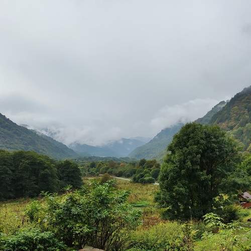 Photo #8155402