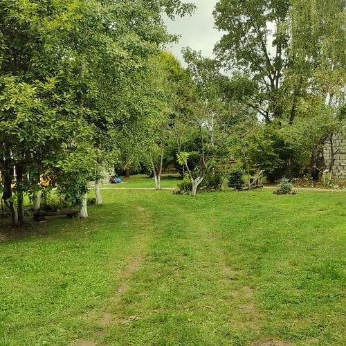 Photo #8155418