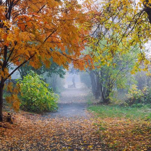 Photo #8155739
