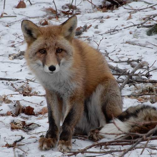 Photo #8155912