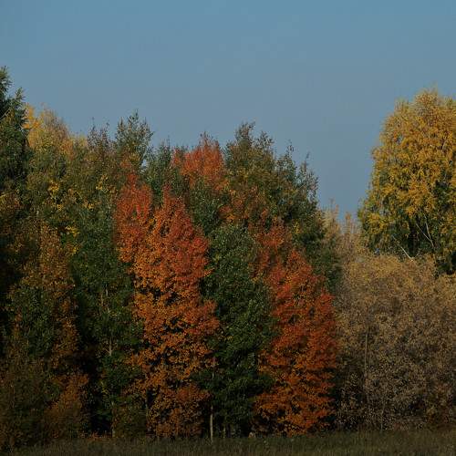 Photo #8156498