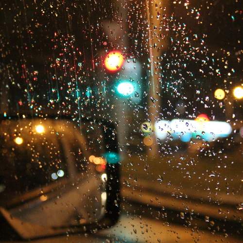 Photo #8156602