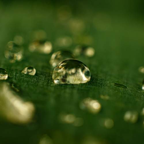Photo #8157478