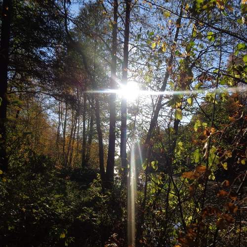 Photo #8158015