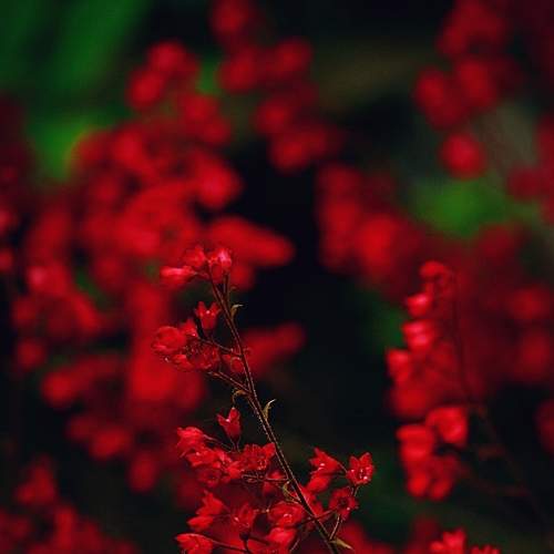 Photo #8158091