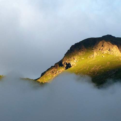 Photo #8158168