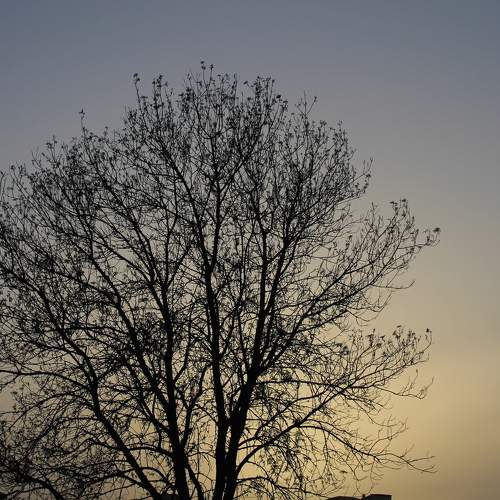 Photo #8158617