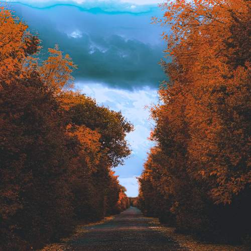 Photo #8158721