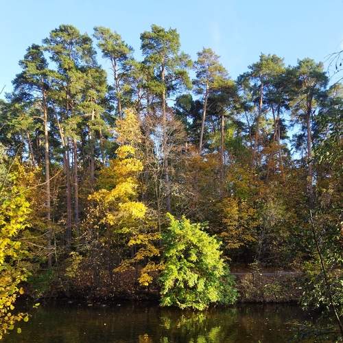 Photo #8158727