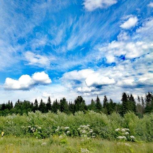 Photo #8159107