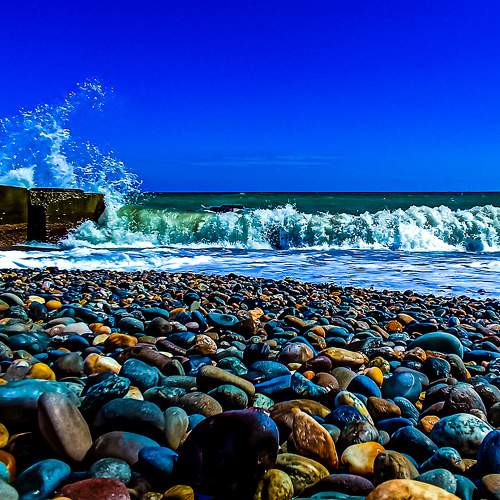 Photo #8159196