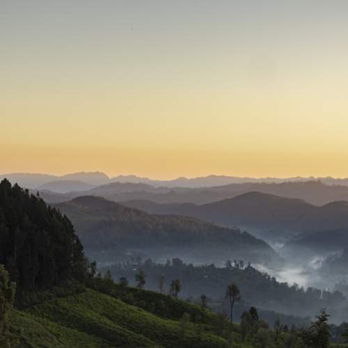 Photo #8160112