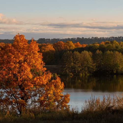 Photo #8160576