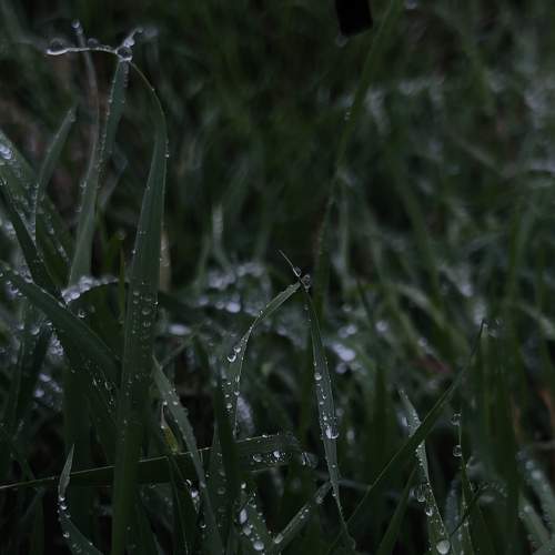Photo #8160736