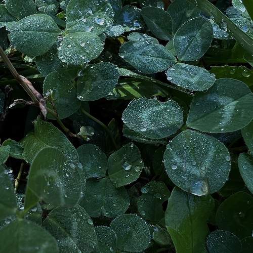 Photo #8160752