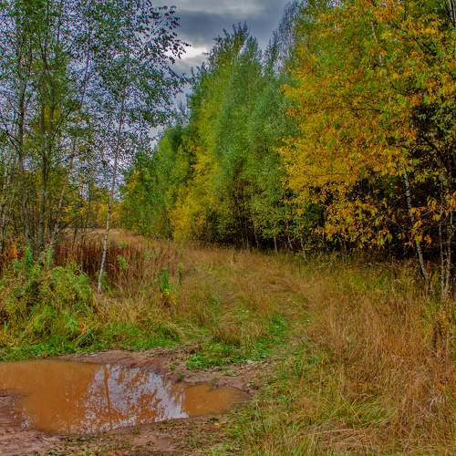 Photo #8160753