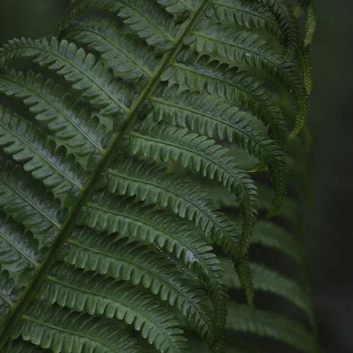 Photo #8161571