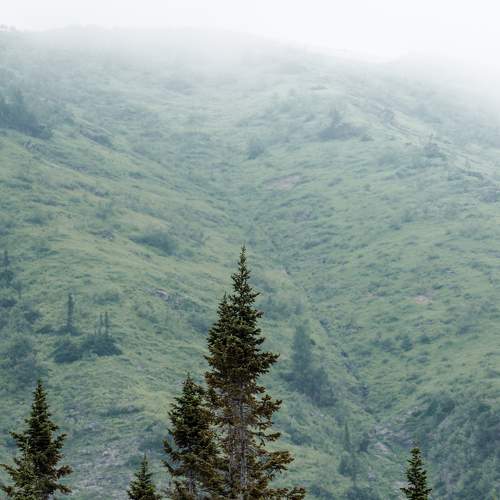 Photo #8161589