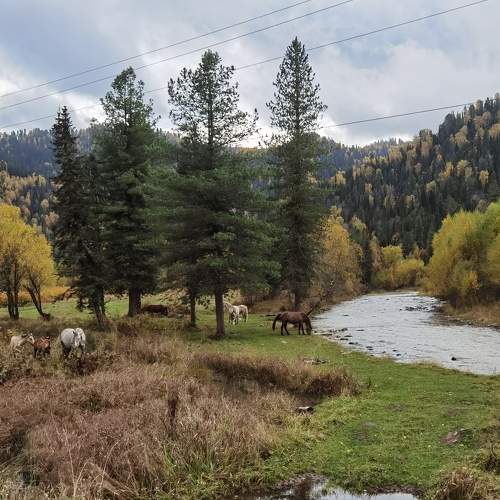 Photo #8161622