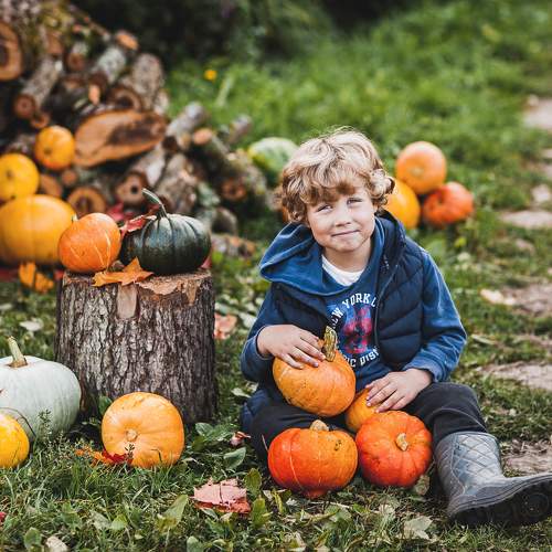 Photo #8161775