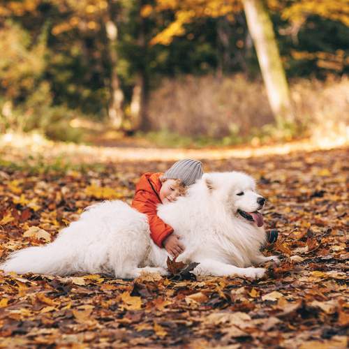 Photo #8161807