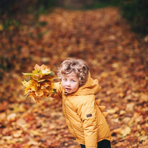 Photo #8161857