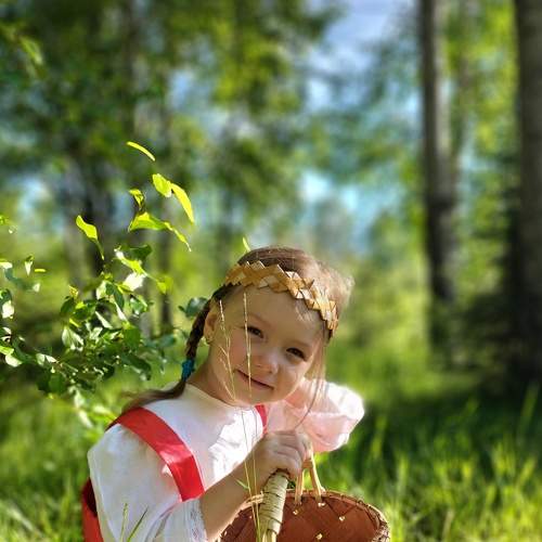 Photo #8162252