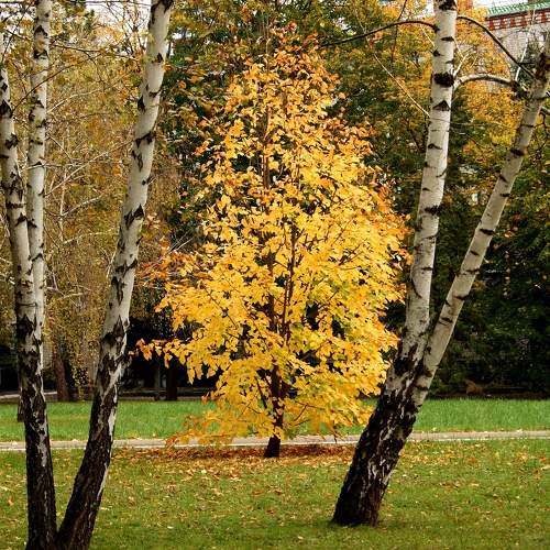 Фотография #8162352