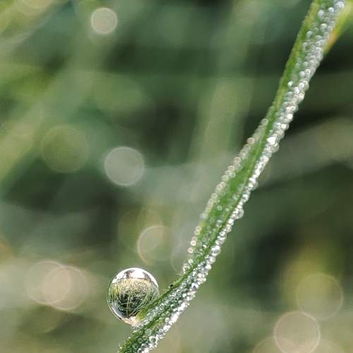 Photo #8162359