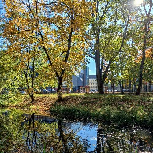 Photo #8162377
