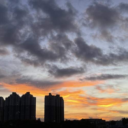 Photo #8162684
