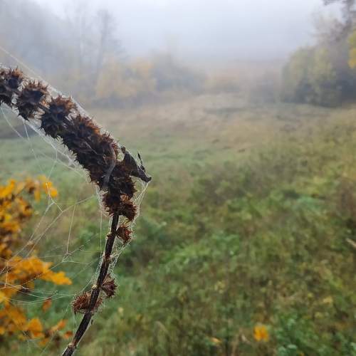 Photo #8163299