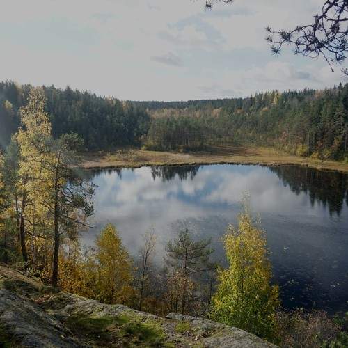 Photo #8163549