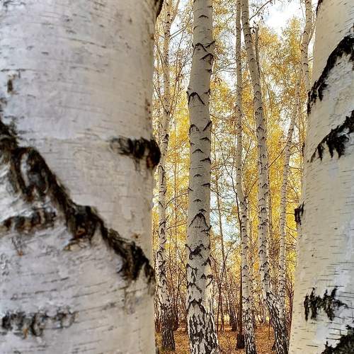 Photo #8163727