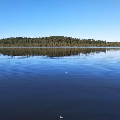 Photo #8163807