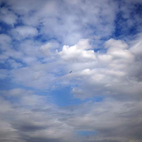 Photo #8164364
