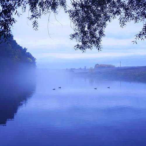 Photo #8165036