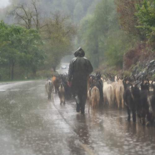 Photo #8165352