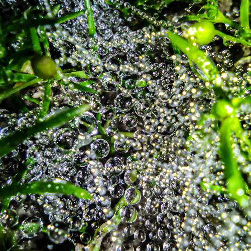 Photo #8165397