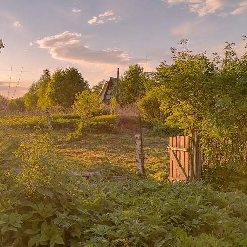 Photo #8165606