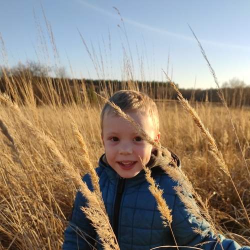 Photo #8165702