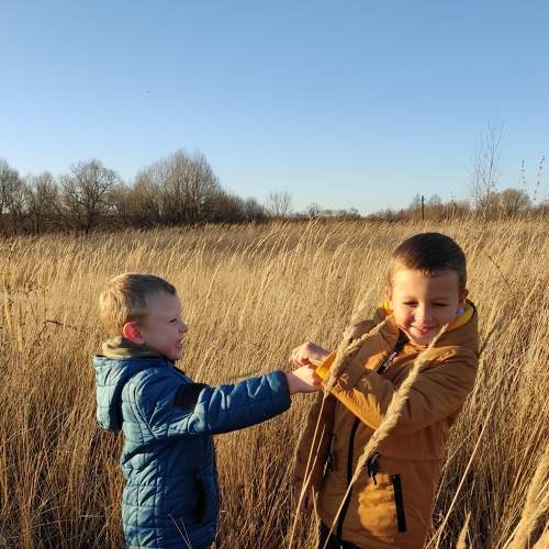 Photo #8165703
