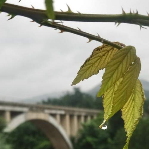 Photo #8165737