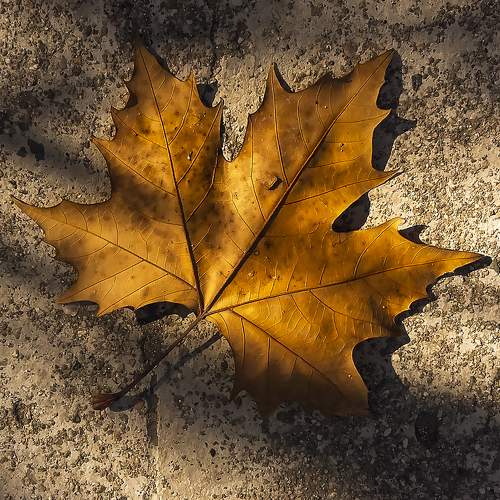 Photo #8165968