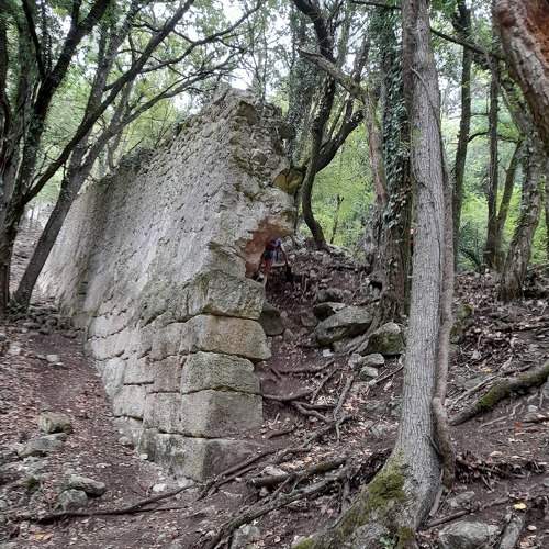 Photo #8166403