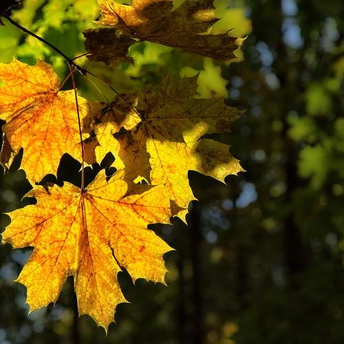 Photo #8166578