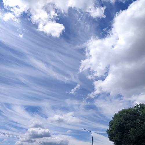 Photo #8166894