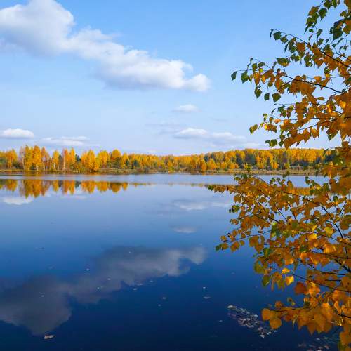 Photo #8166914