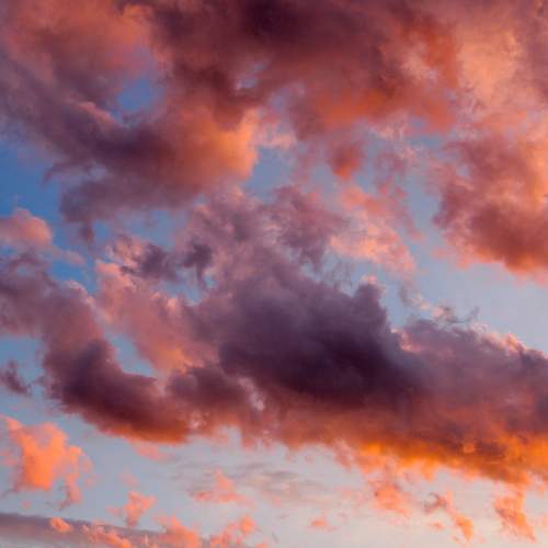 Photo #8167125