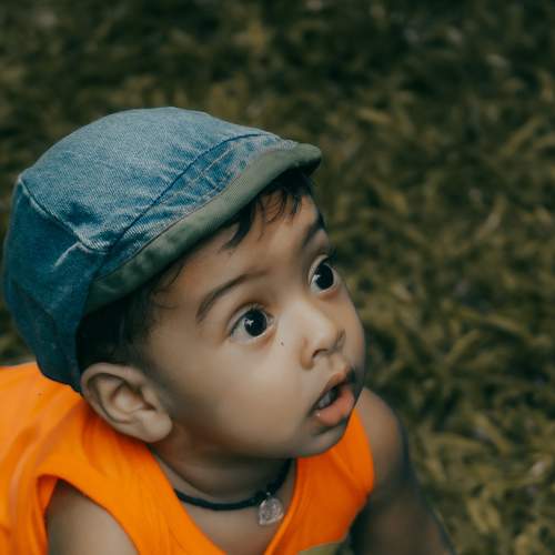 Photo #8167328